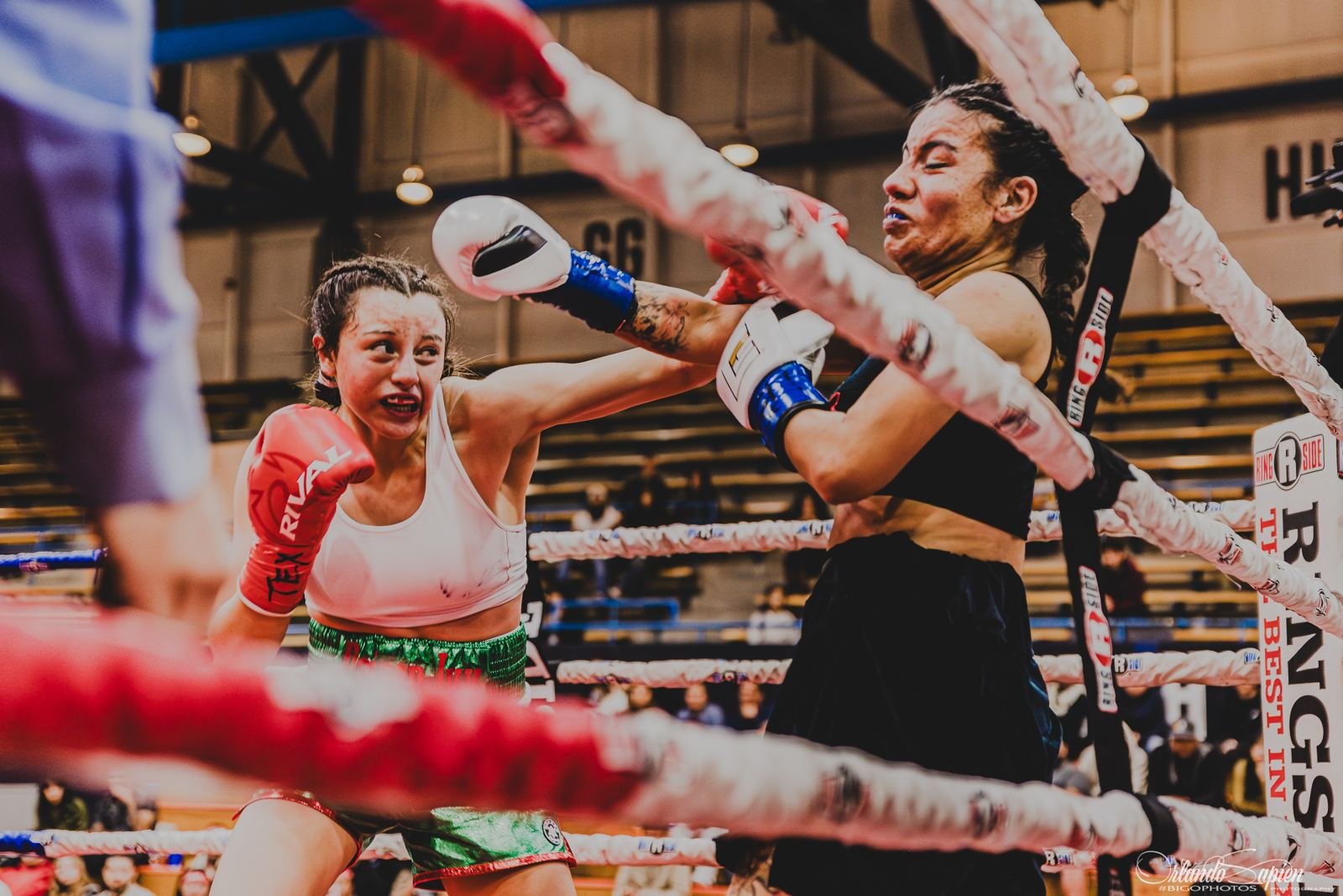 Women's boxing exchange against the ropes